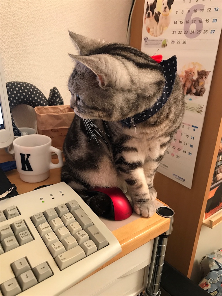 f:id:tsukky8832534:20200416231045j:image