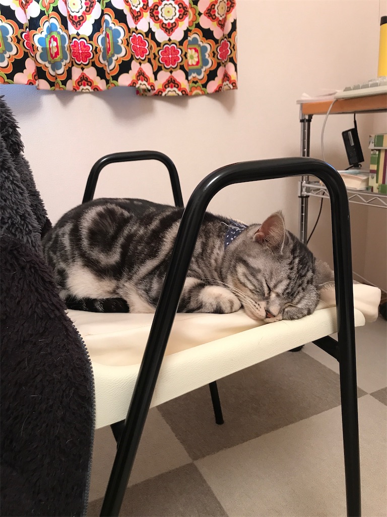 f:id:tsukky8832534:20200416235740j:image