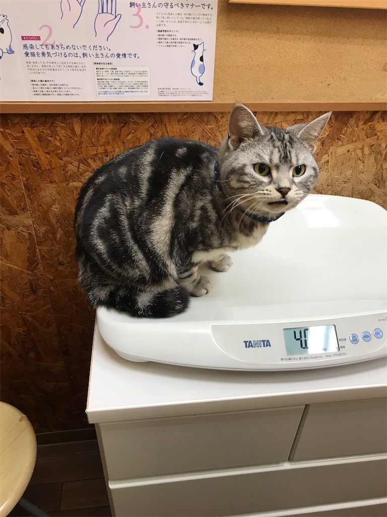 f:id:tsukky8832534:20200419014109j:image