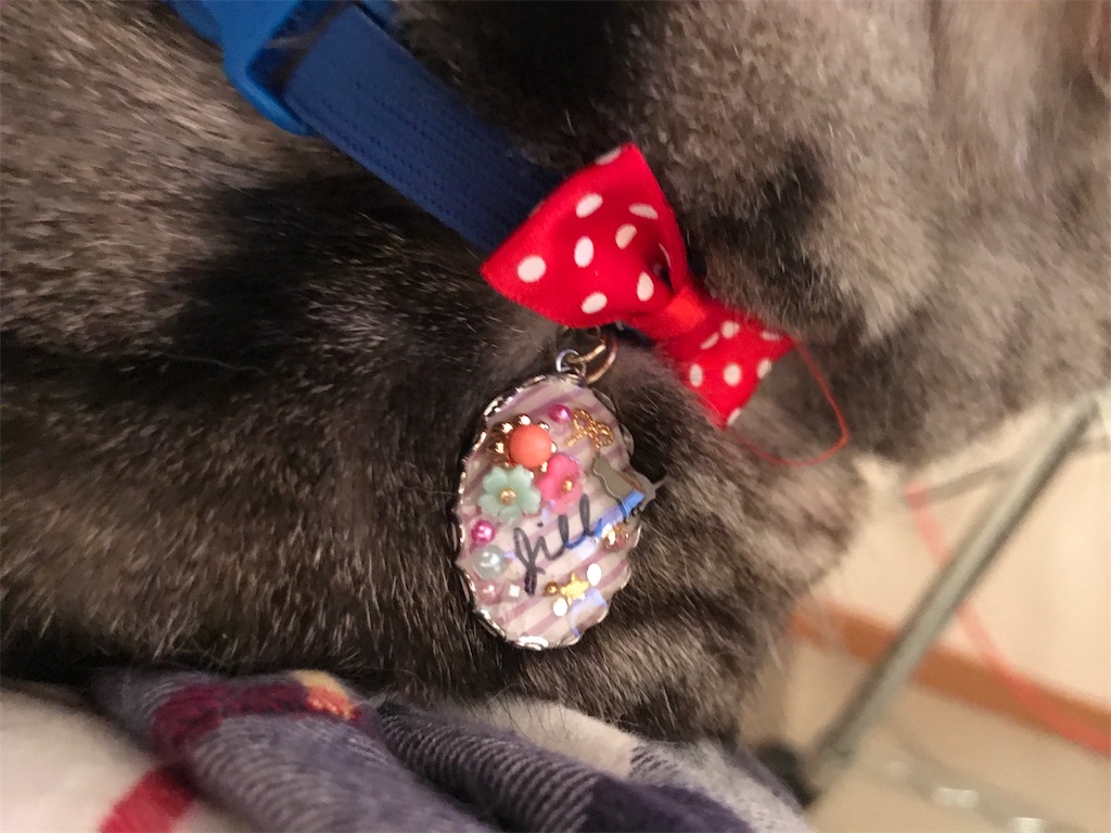 f:id:tsukky8832534:20200423004811j:image