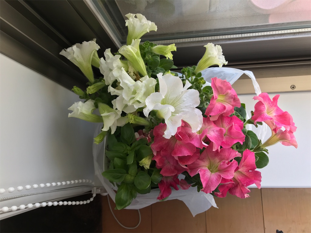 f:id:tsukky8832534:20200426004314j:image f:id:tsukky8832534:20200426004314j:image