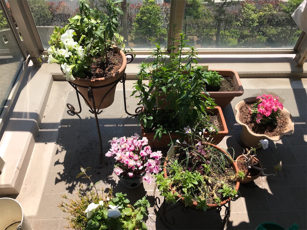 f:id:tsukky8832534:20200426004328j:image f:id:tsukky8832534:20200426004328j:image