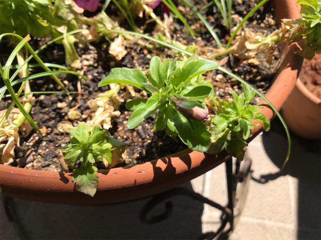 f:id:tsukky8832534:20200426004359j:image f:id:tsukky8832534:20200426004359j:image