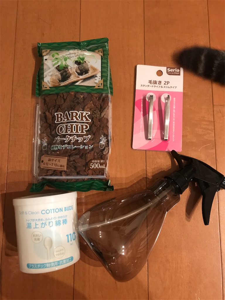 f:id:tsukky8832534:20200904235442j:image f:id:tsukky8832534:20200904235442j:image