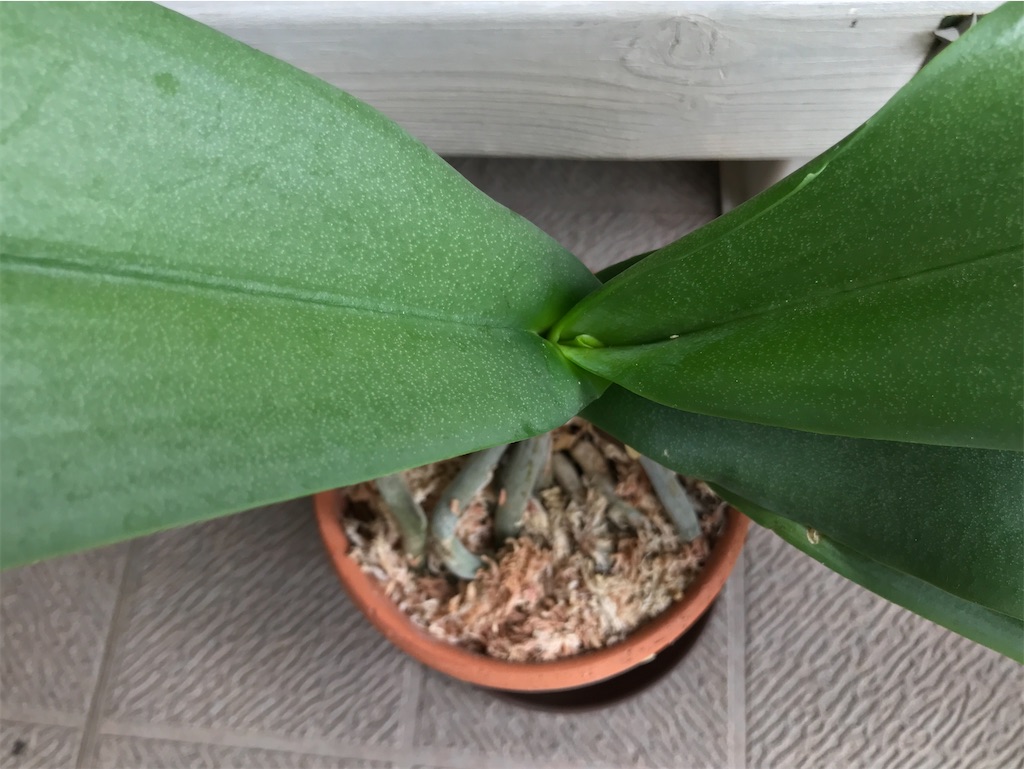 f:id:tsukky8832534:20200913235613j:image f:id:tsukky8832534:20200913235613j:image