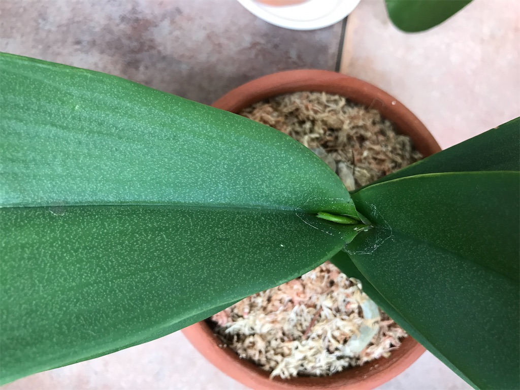 f:id:tsukky8832534:20200913235617j:image f:id:tsukky8832534:20200913235617j:image