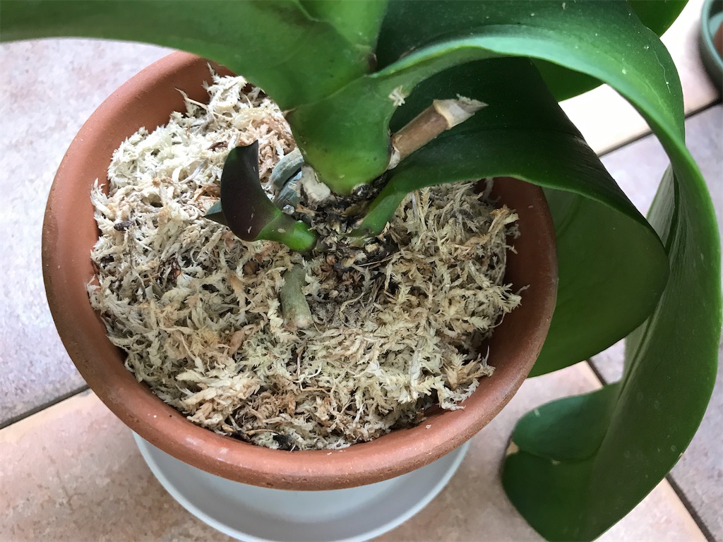 f:id:tsukky8832534:20200913235632j:image f:id:tsukky8832534:20200913235632j:image