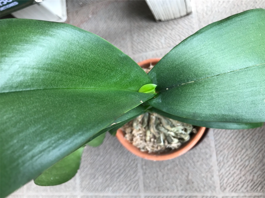 f:id:tsukky8832534:20200913235635j:image f:id:tsukky8832534:20200913235635j:image