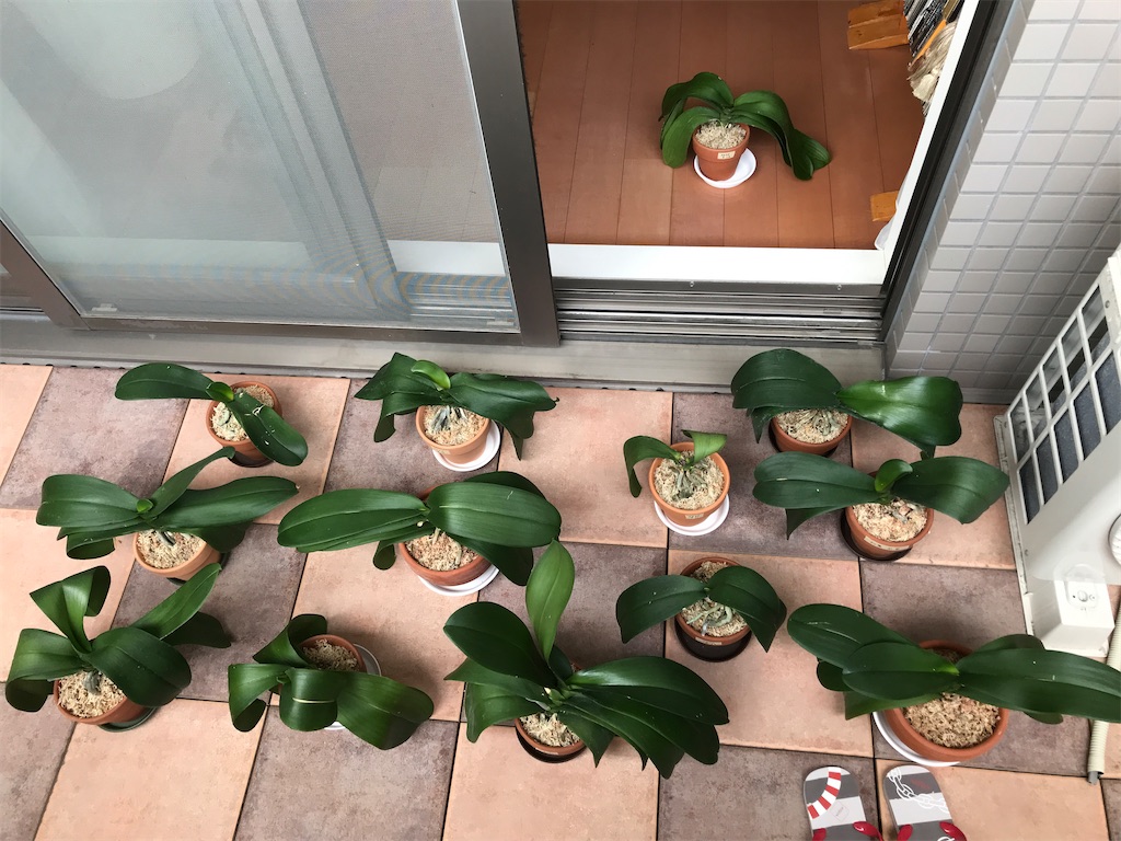 f:id:tsukky8832534:20200913235750j:image f:id:tsukky8832534:20200913235750j:image