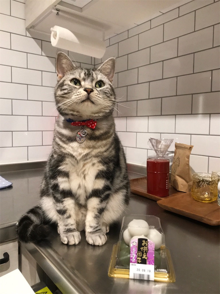 f:id:tsukky8832534:20200919015143j:image