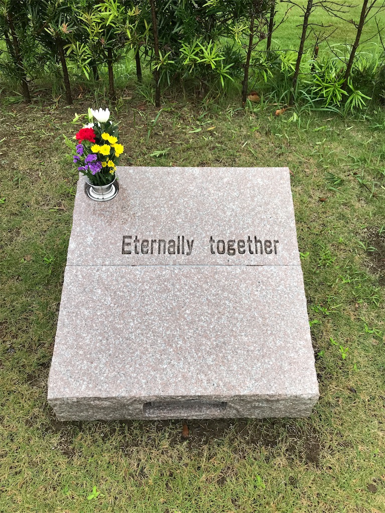 f:id:tsukky8832534:20201018010910j:image