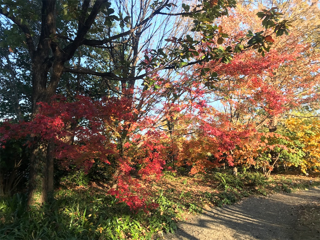 f:id:tsukky8832534:20201123014612j:image f:id:tsukky8832534:20201123014612j:image