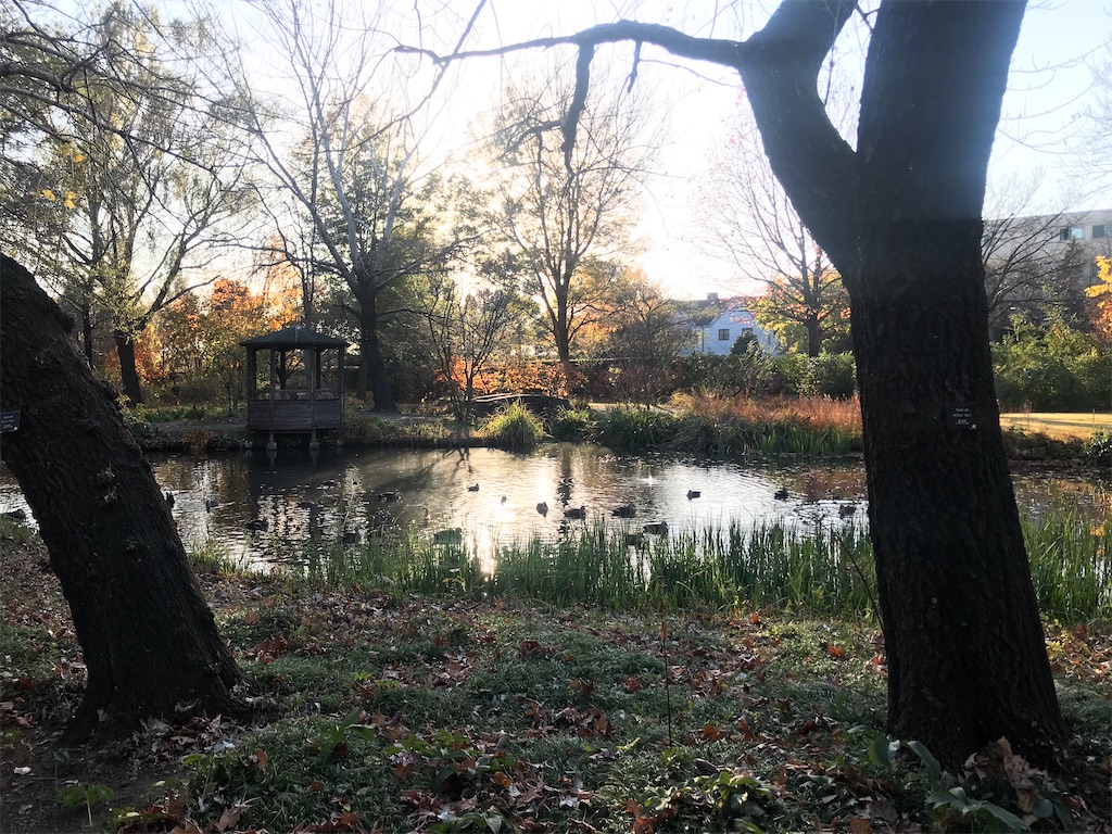 f:id:tsukky8832534:20201123014620j:image f:id:tsukky8832534:20201123014620j:image