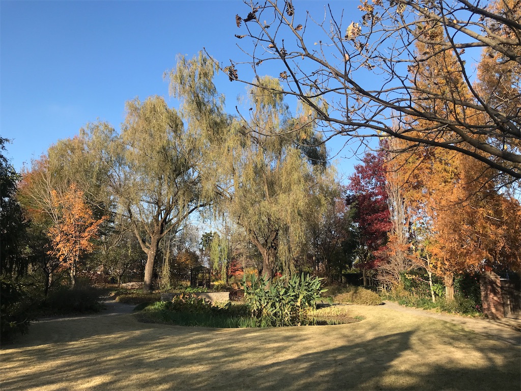 f:id:tsukky8832534:20201123014631j:image f:id:tsukky8832534:20201123014631j:image