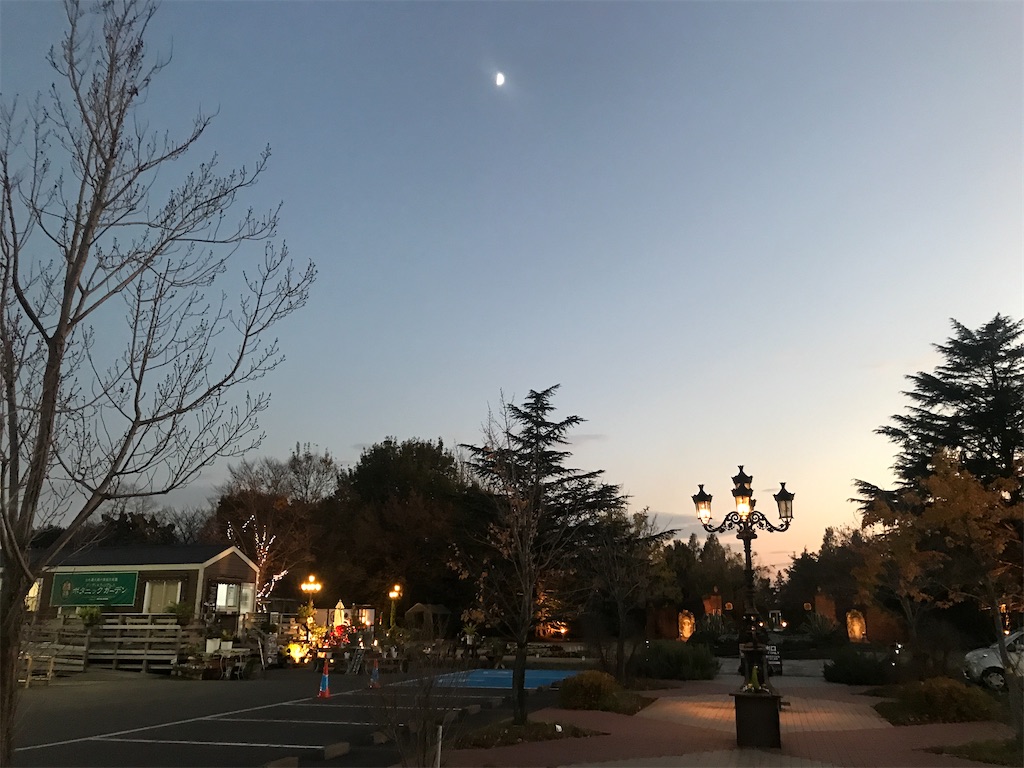 f:id:tsukky8832534:20201123014634j:image f:id:tsukky8832534:20201123014634j:image