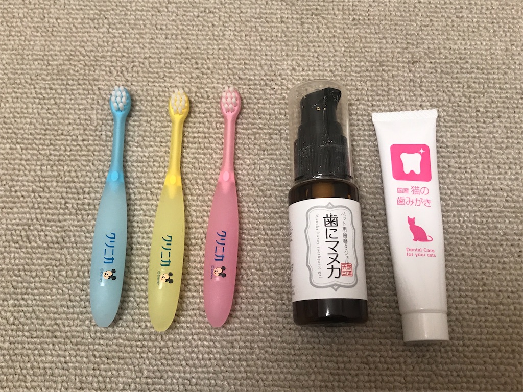 f:id:tsukky8832534:20201210013643j:image f:id:tsukky8832534:20201210013643j:image