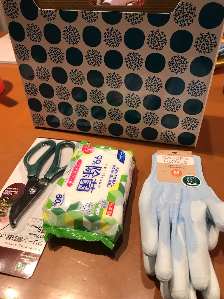 f:id:tsukky8832534:20210106235539j:image f:id:tsukky8832534:20210106235539j:image