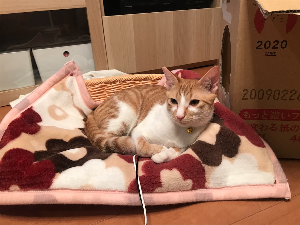 f:id:tsukky8832534:20210120002801j:image