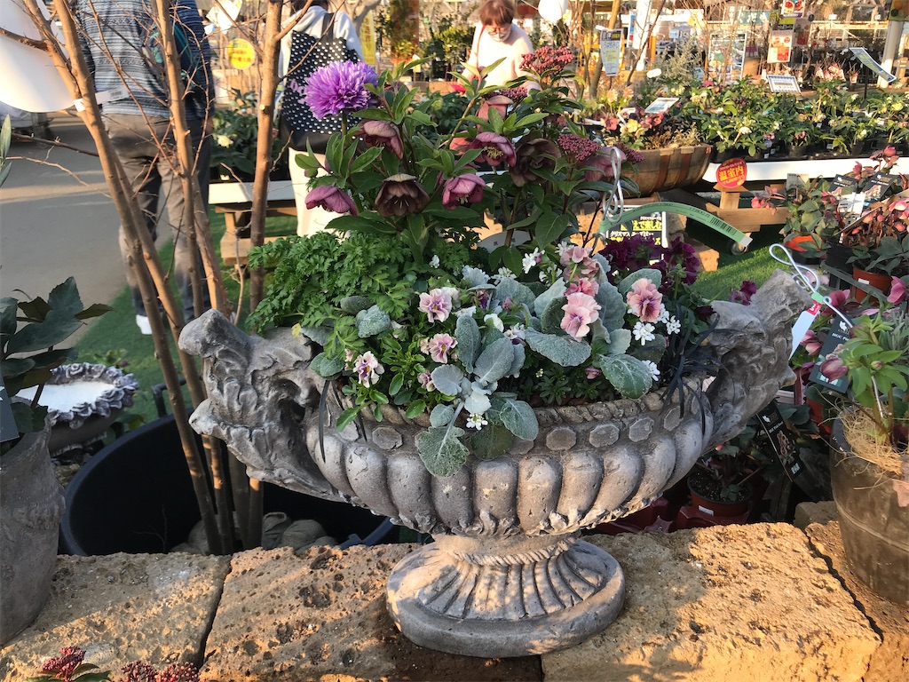 f:id:tsukky8832534:20210208010230j:image f:id:tsukky8832534:20210208010230j:image