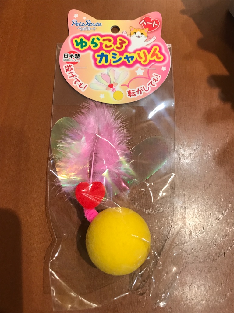 f:id:tsukky8832534:20210227013048j:image f:id:tsukky8832534:20210227013048j:image