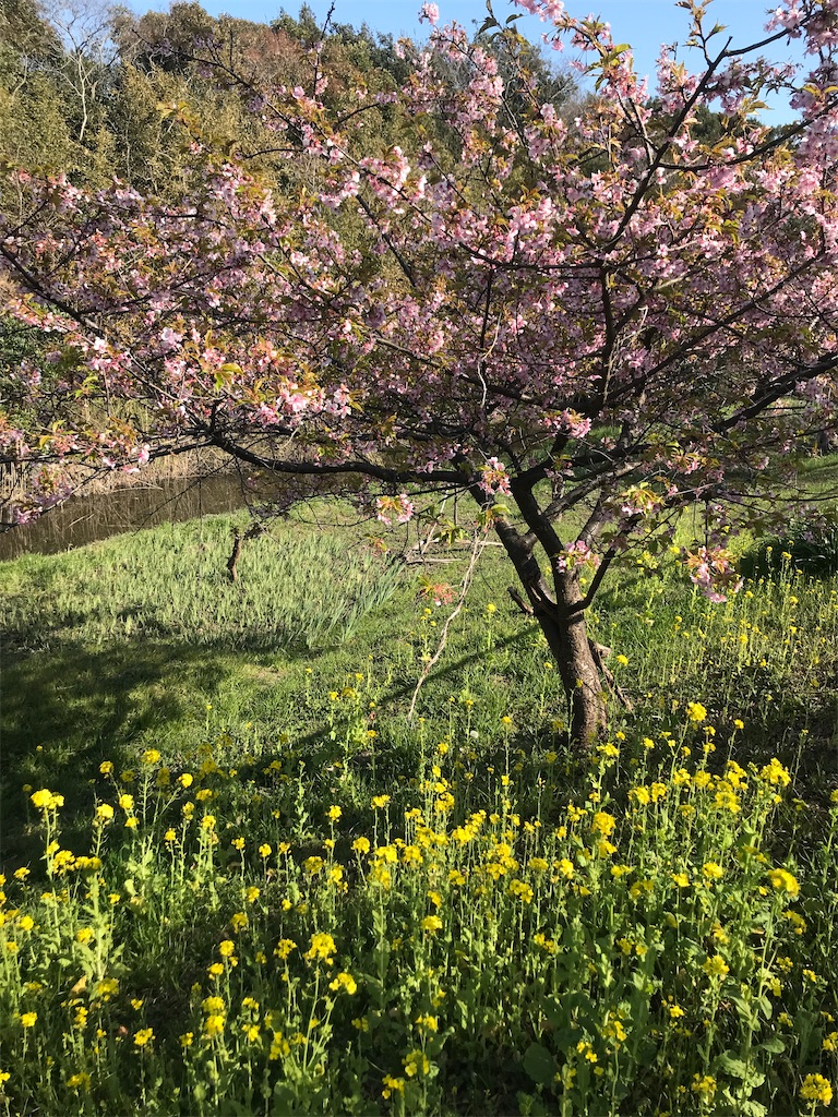 f:id:tsukky8832534:20210301002802j:image f:id:tsukky8832534:20210301002802j:image