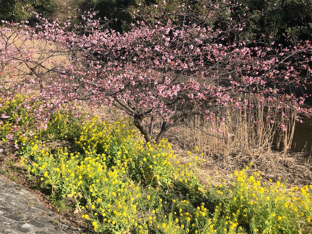 f:id:tsukky8832534:20210301002811j:image f:id:tsukky8832534:20210301002811j:image