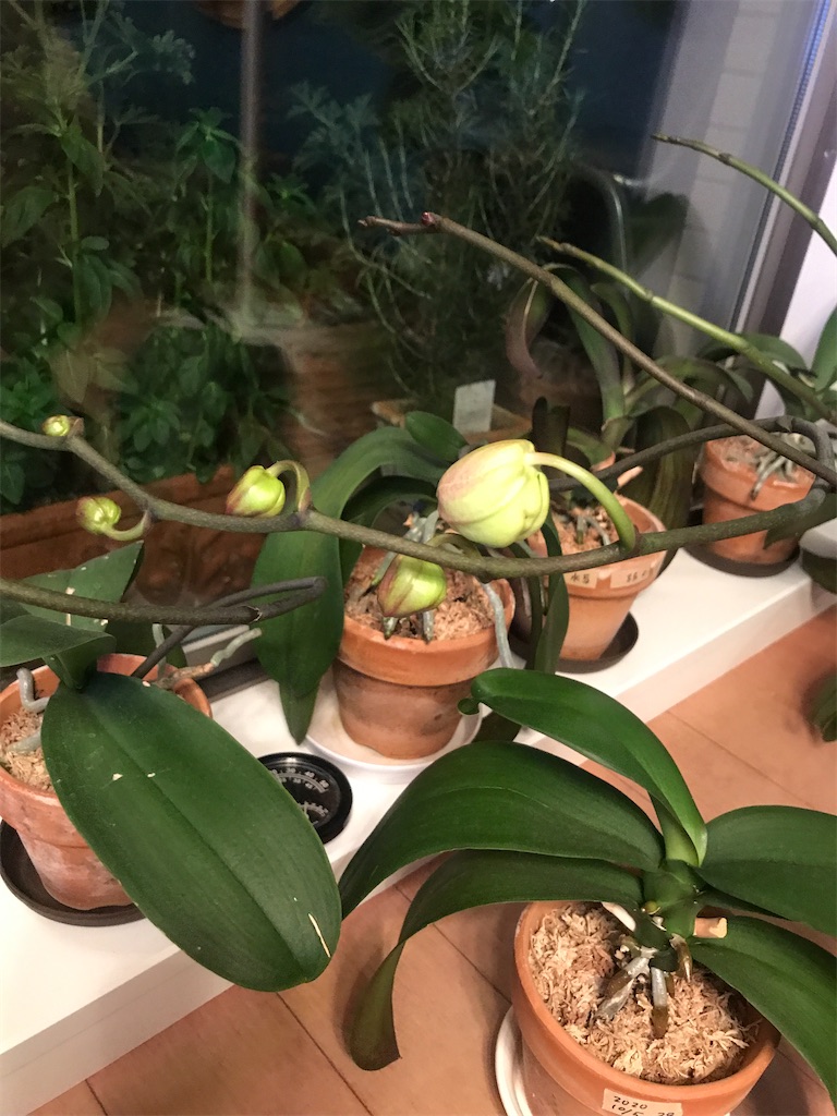 f:id:tsukky8832534:20210319003923j:image f:id:tsukky8832534:20210319003923j:image