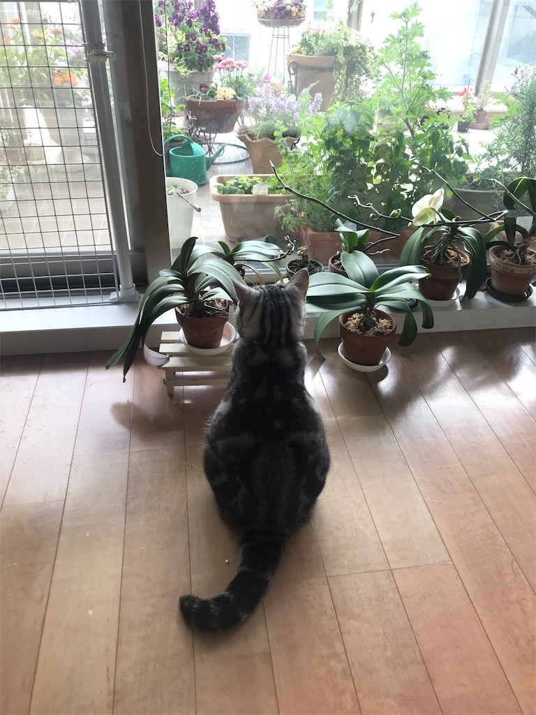 f:id:tsukky8832534:20210321005351j:image f:id:tsukky8832534:20210321005351j:image