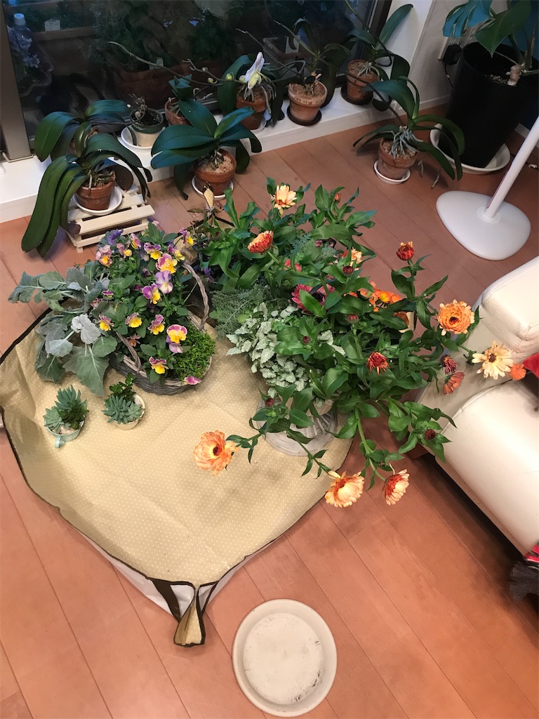 f:id:tsukky8832534:20210322012721j:image