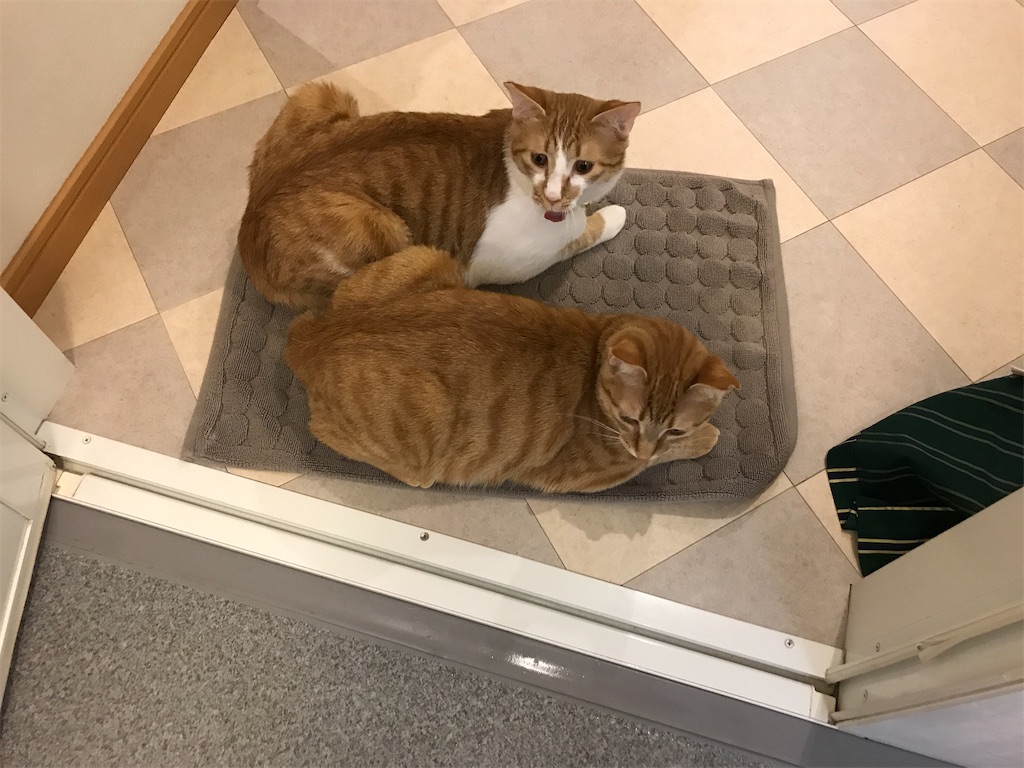 f:id:tsukky8832534:20210427005122j:image