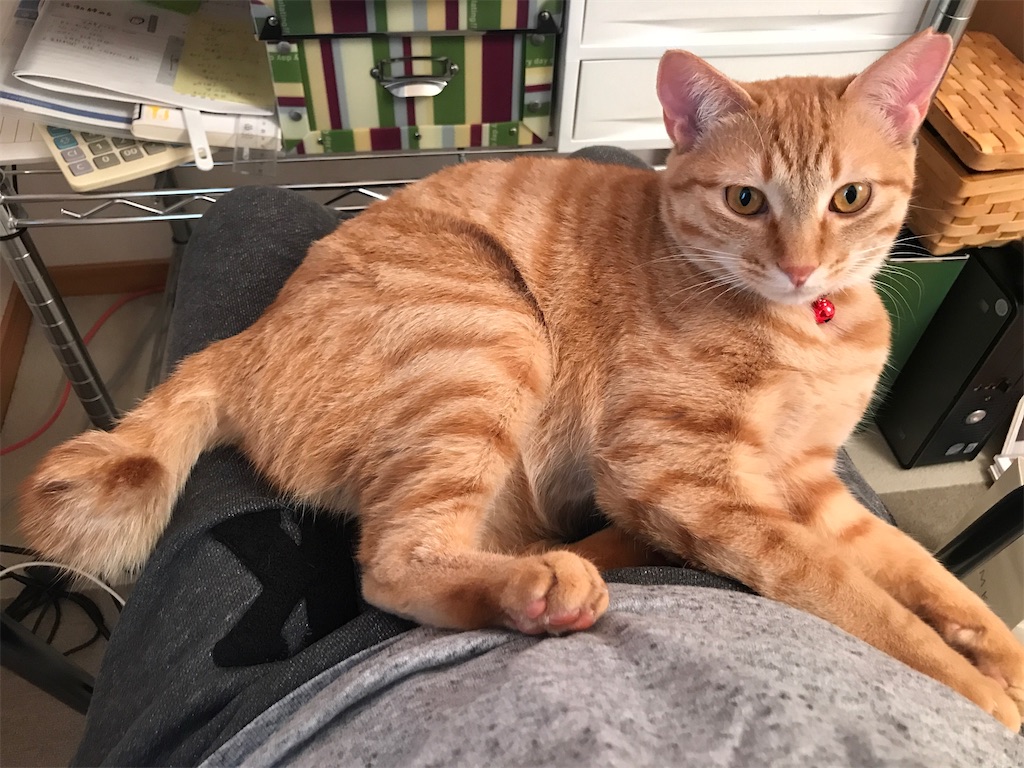 f:id:tsukky8832534:20210512003232j:image