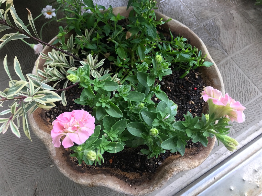 f:id:tsukky8832534:20210512003237j:image