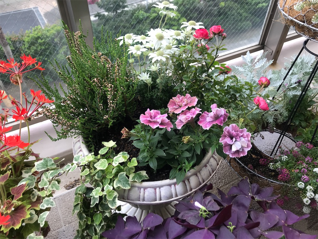 f:id:tsukky8832534:20210512003243j:image