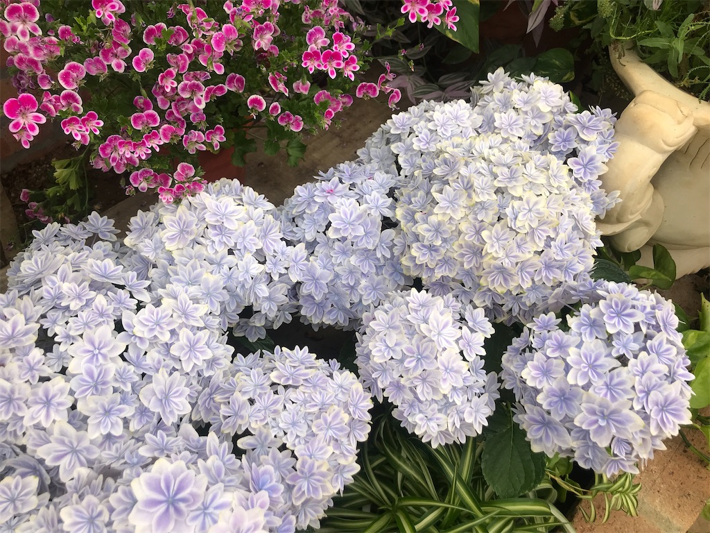 f:id:tsukky8832534:20210517005123j:image