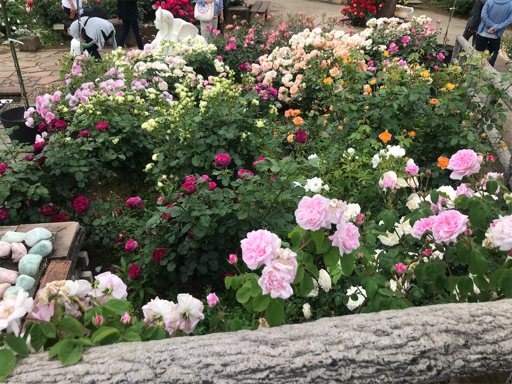 f:id:tsukky8832534:20210517005146j:image