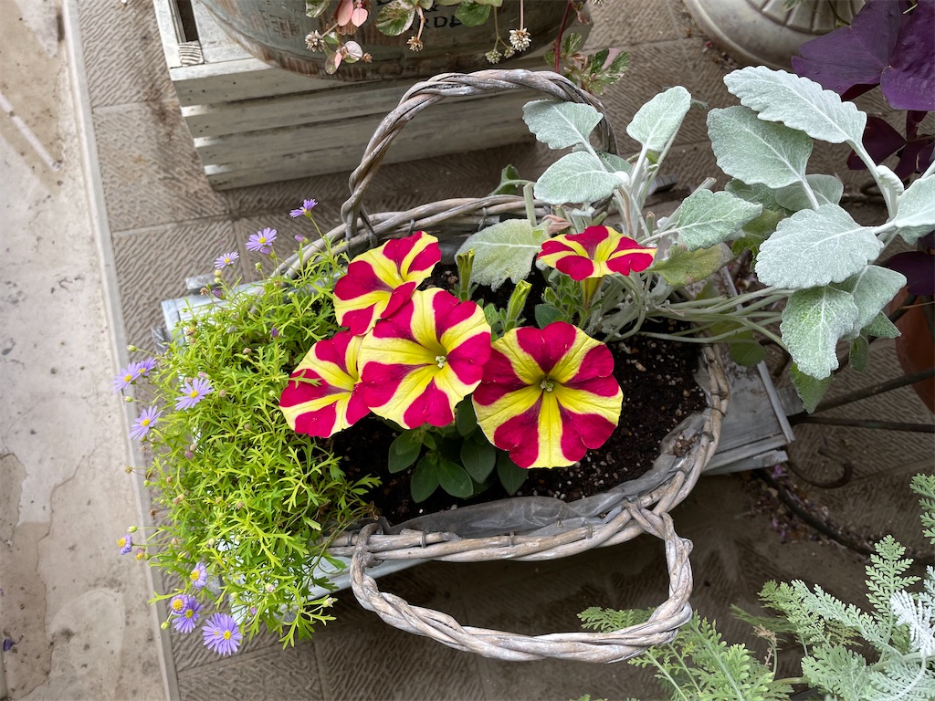 f:id:tsukky8832534:20210520001630j:image