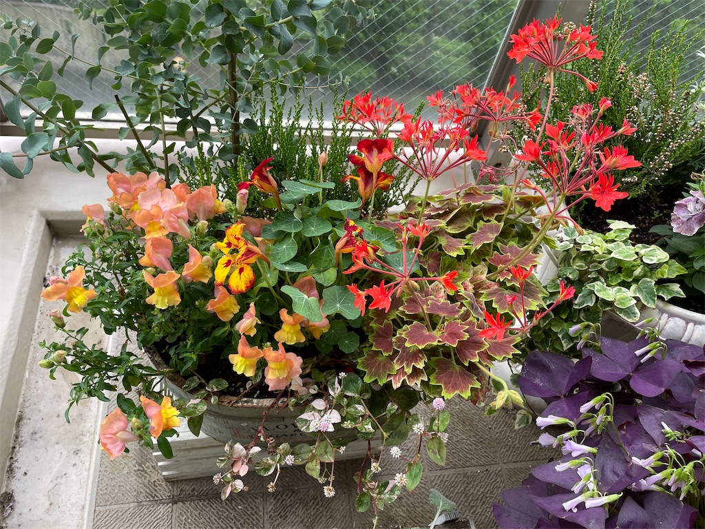 f:id:tsukky8832534:20210520001633j:image