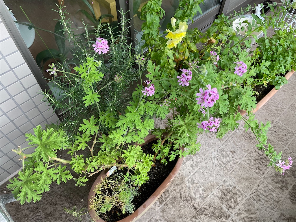 f:id:tsukky8832534:20210520001640j:image