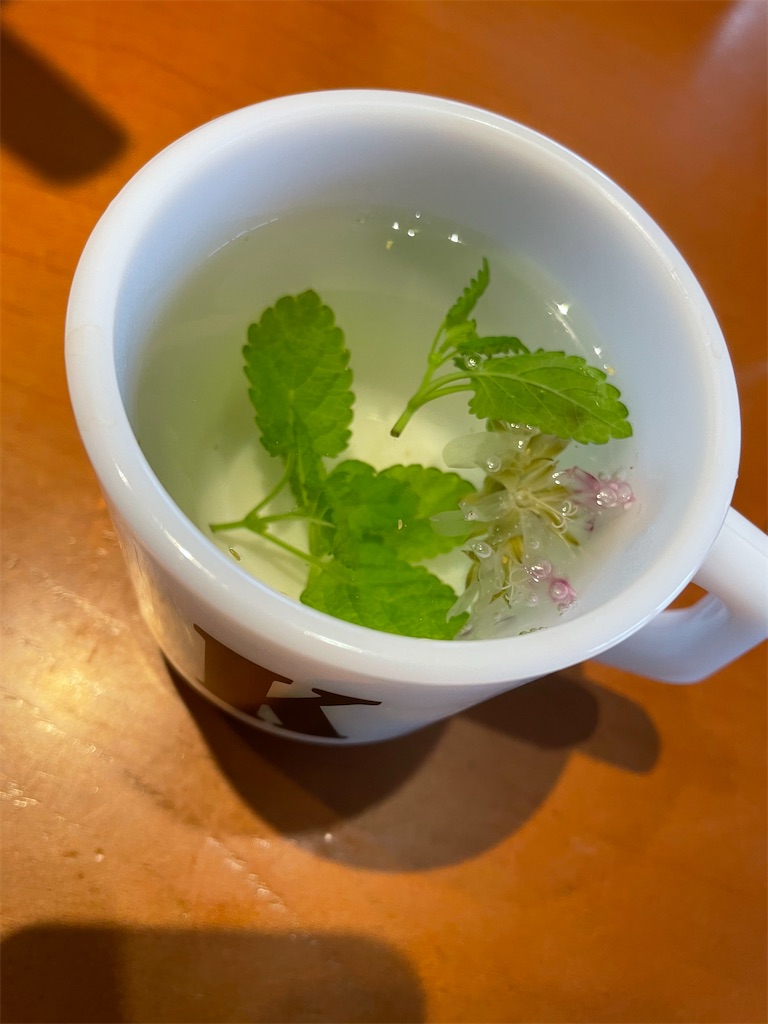 f:id:tsukky8832534:20210520001647j:image