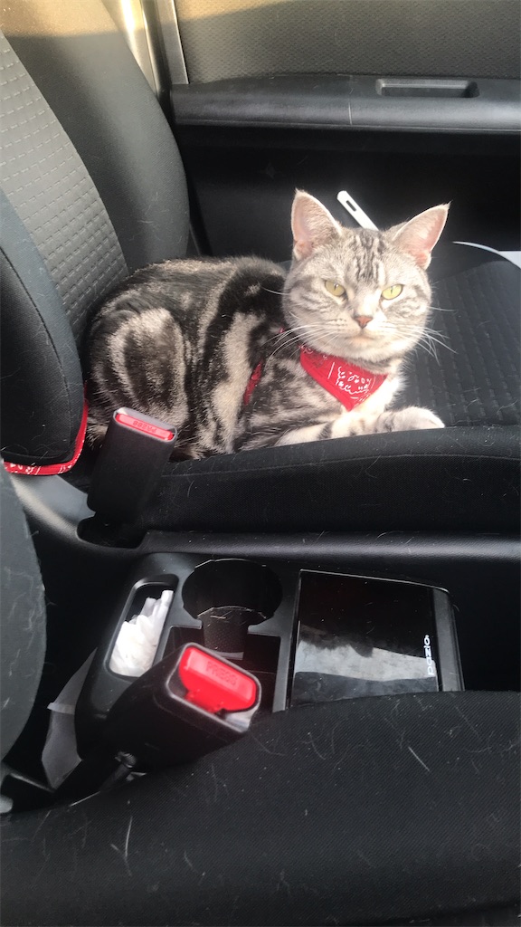 f:id:tsukky8832534:20210530221121j:image f:id:tsukky8832534:20210530221121j:image