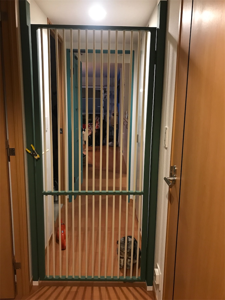 f:id:tsukky8832534:20210607104339j:image f:id:tsukky8832534:20210607104339j:image