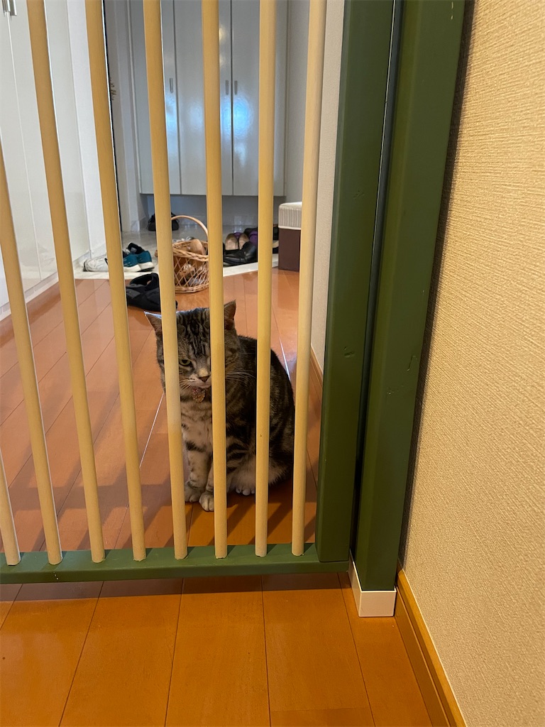 f:id:tsukky8832534:20210607104526j:image f:id:tsukky8832534:20210607104526j:image