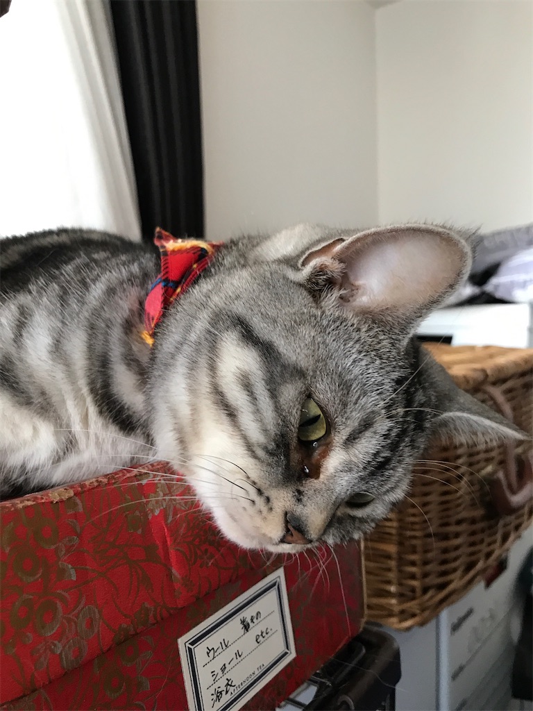 f:id:tsukky8832534:20210607105548j:image f:id:tsukky8832534:20210607105548j:image