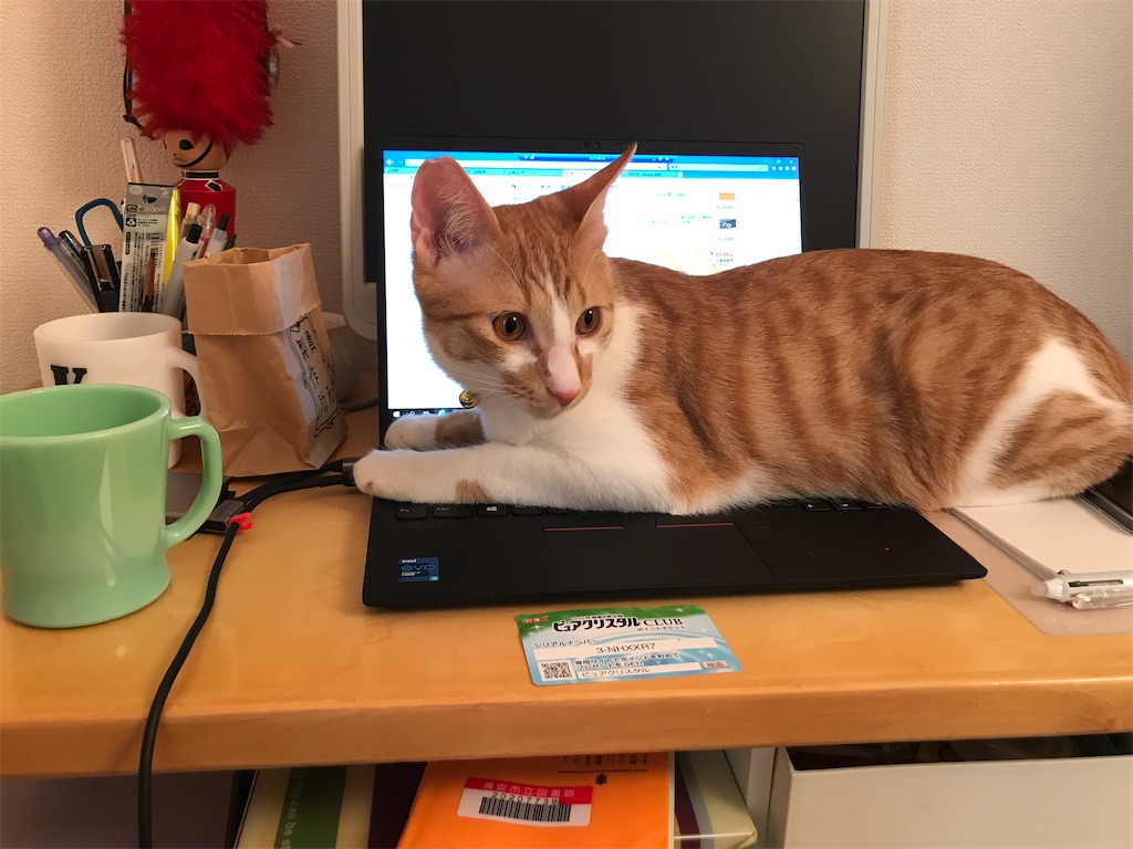 f:id:tsukky8832534:20210607115354j:image f:id:tsukky8832534:20210607115354j:image