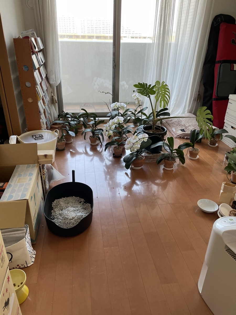 f:id:tsukky8832534:20210607121106j:plain