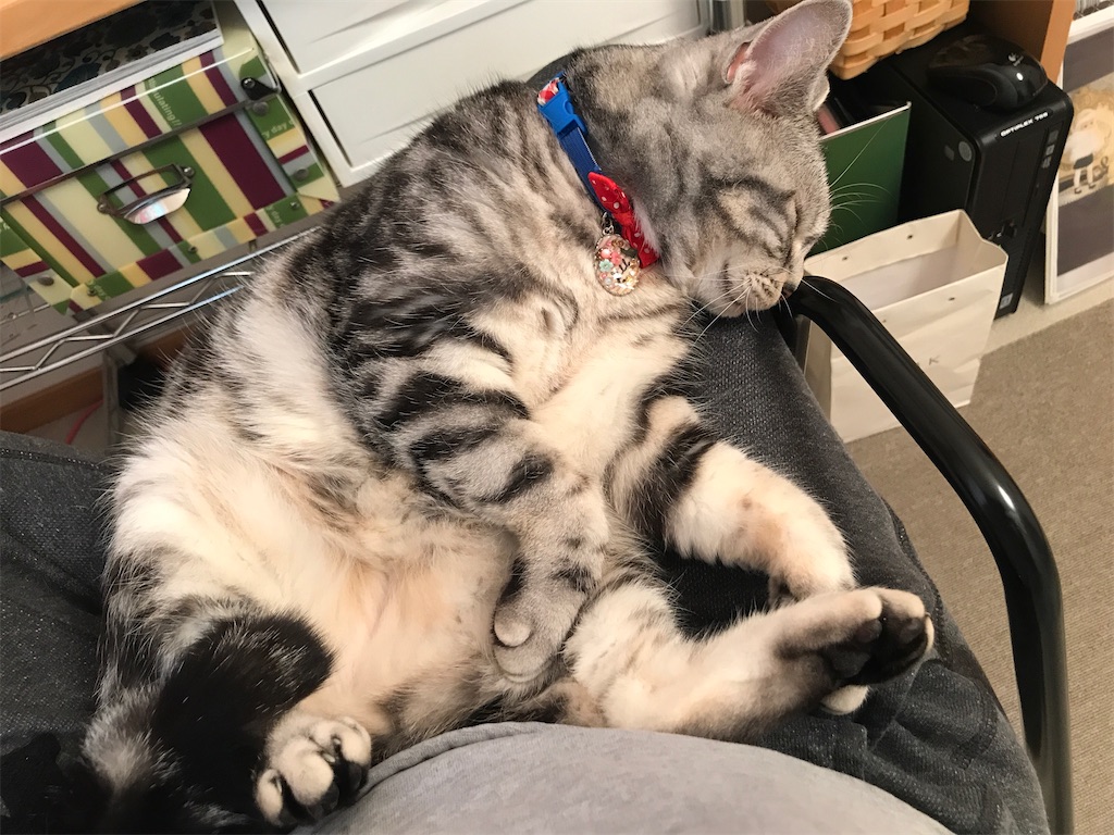 f:id:tsukky8832534:20210625005733j:image