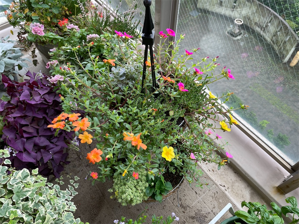 f:id:tsukky8832534:20210711004041j:image