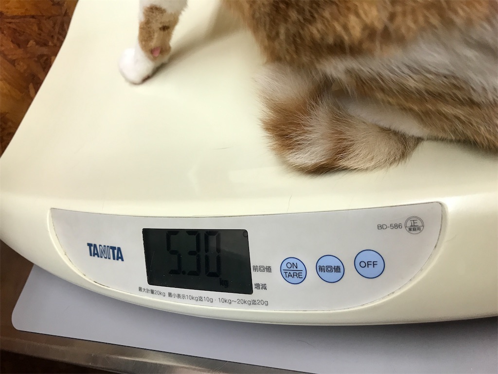 f:id:tsukky8832534:20210718030743j:image