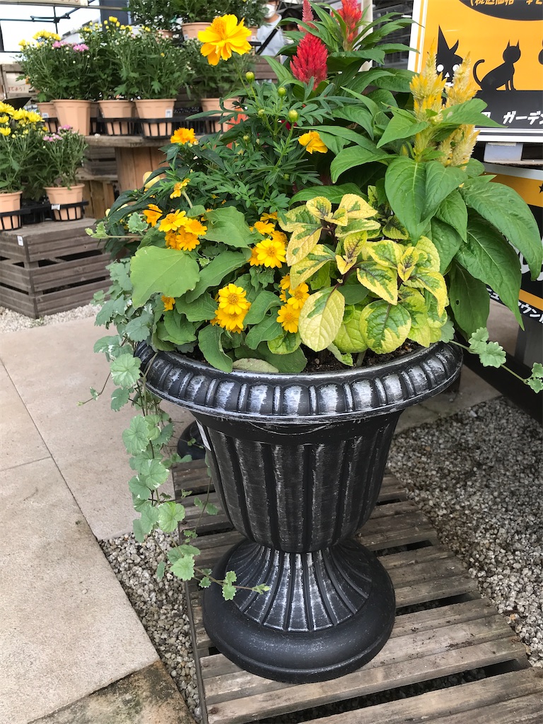 f:id:tsukky8832534:20210830004105j:image