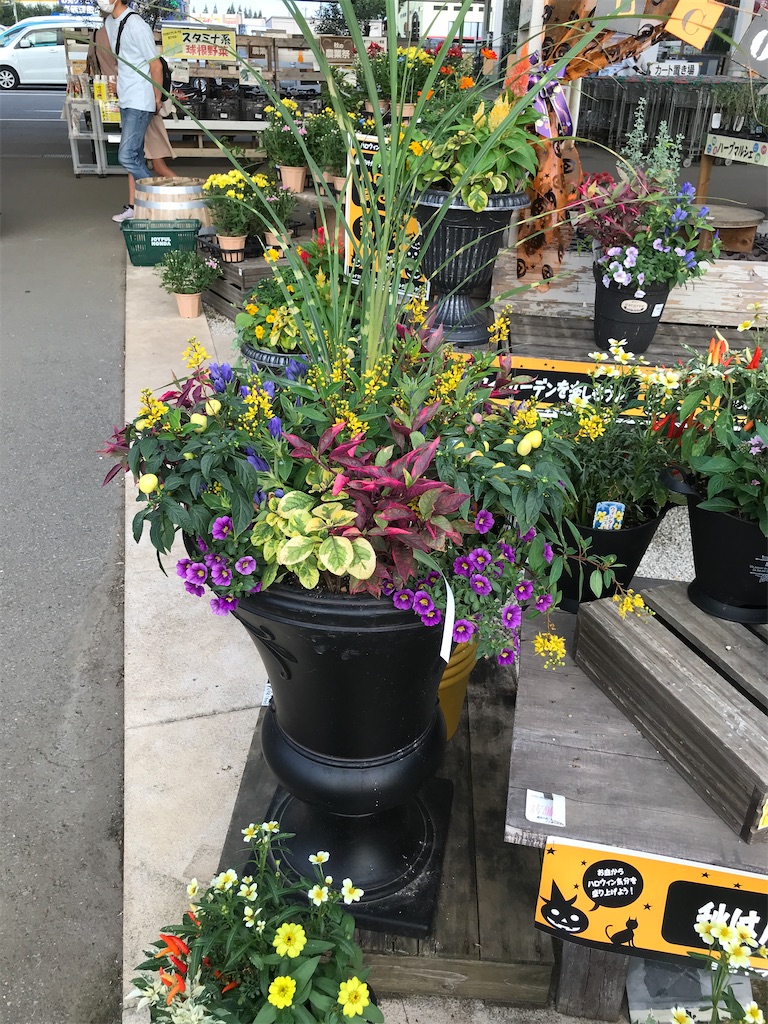 f:id:tsukky8832534:20210830004115j:image